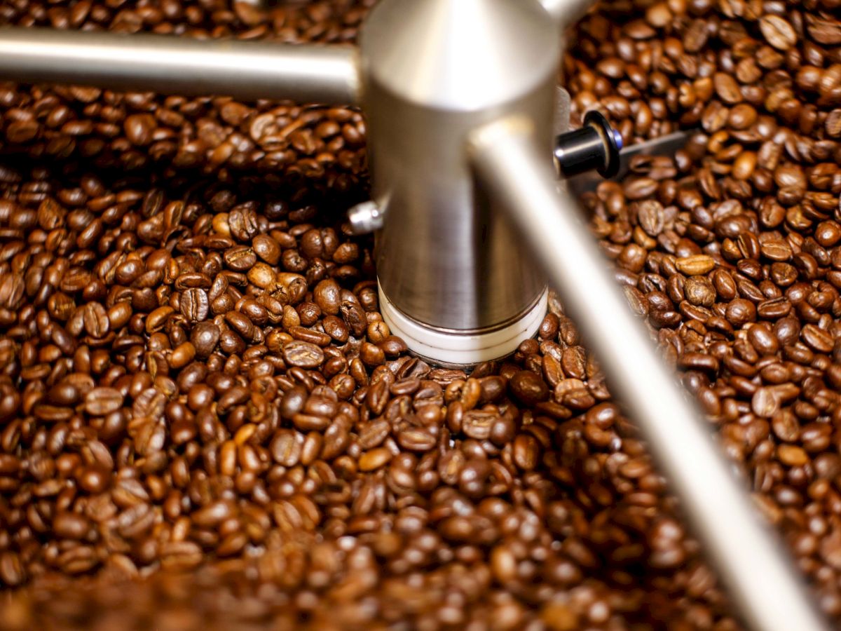 Coffee beans being roasted in a machine with a metal arm inside.