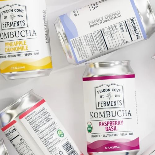 Cans of Pigeon Cove Ferments kombucha in flavors pineapple chamomile and raspberry basil on a light background.